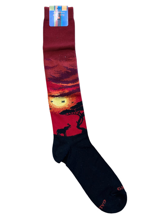 Long Rooster Sock AP512707